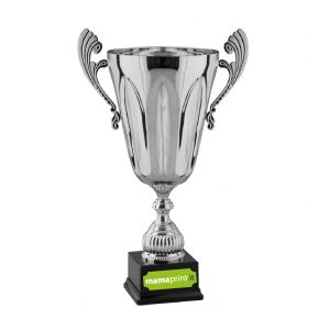 Premiazioni ed eventi